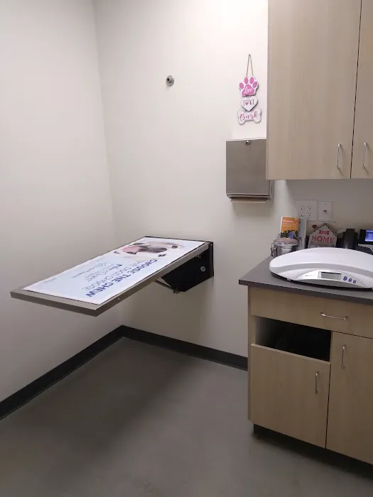 Vetco Total Care Animal Hospital Picture 7