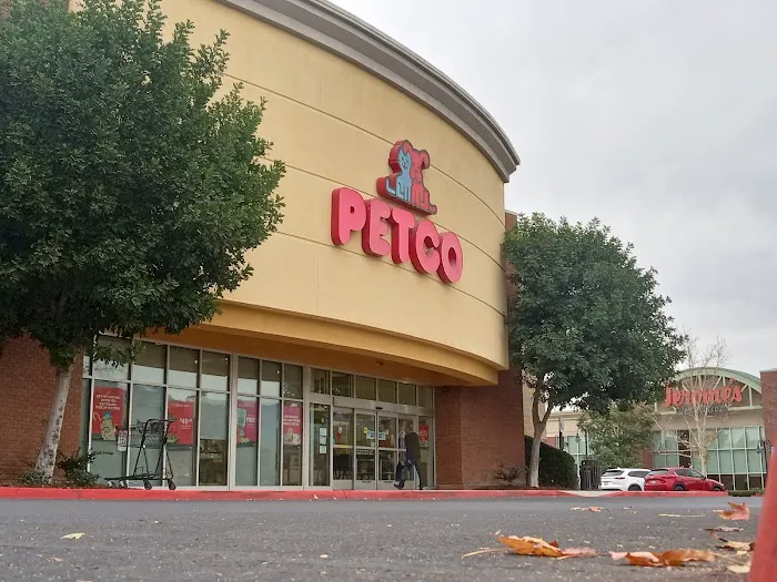 Petco Picture 3
