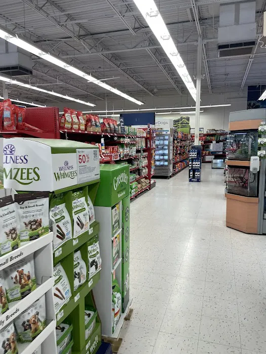 Petco Picture 4