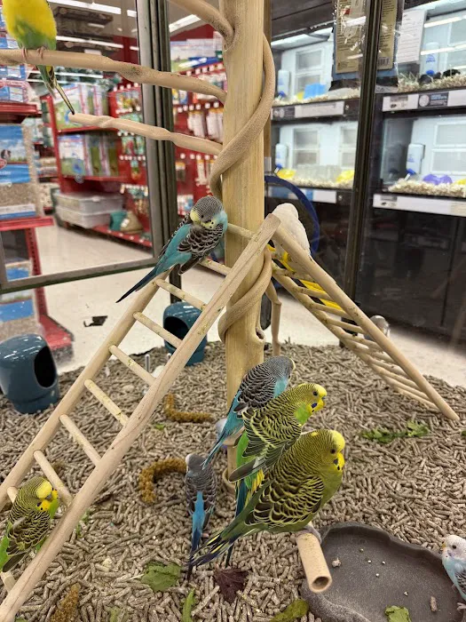 Petco Picture 6