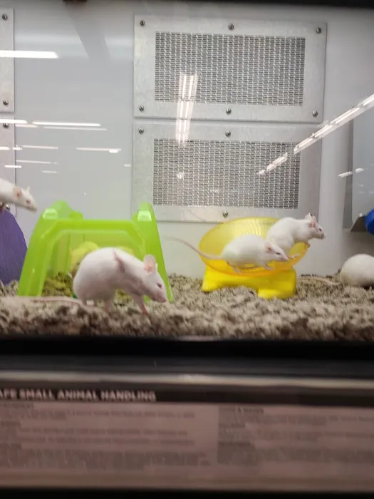 Petco Picture 7