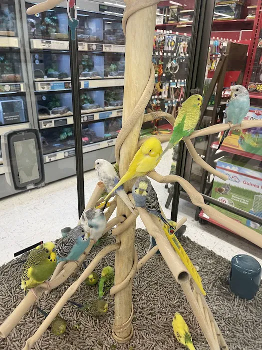 Petco Picture 5