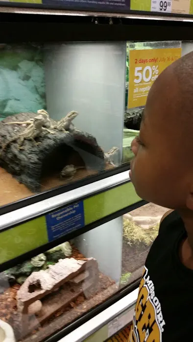 Petco Picture 9