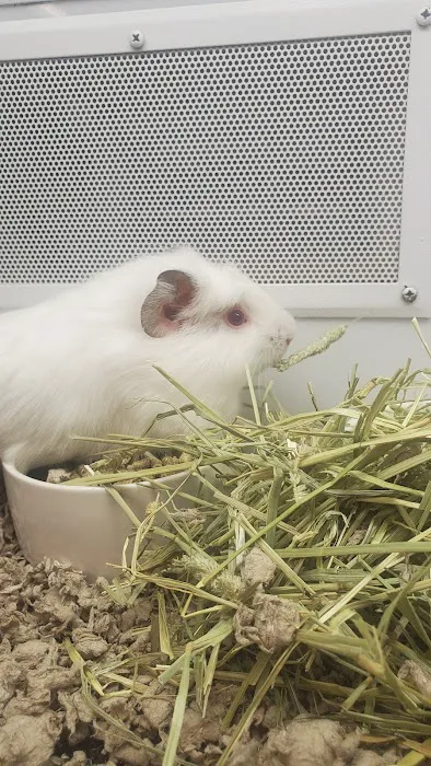 Petco Picture 10