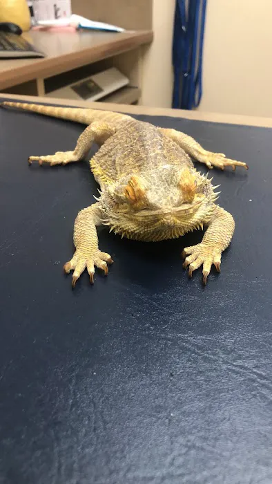 Lovet Pet Health Care - Dove Valley Picture 6