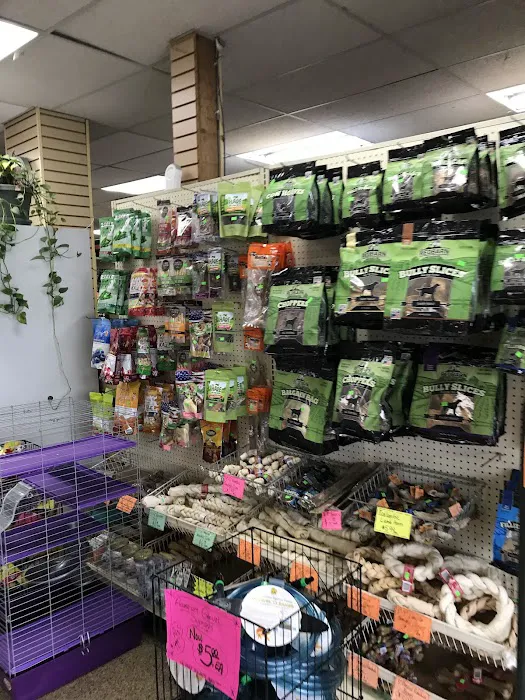 Elliotts For Pets Picture 5