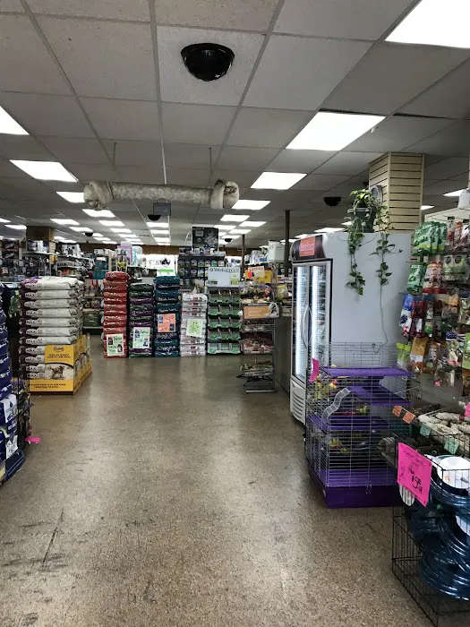 Elliotts For Pets Picture 9