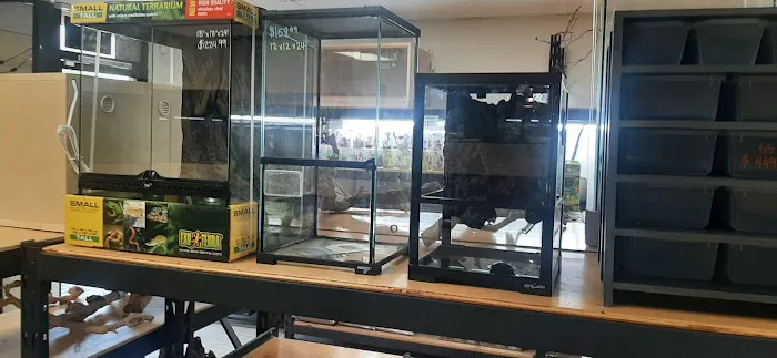REPTILE FACTORY Picture 3