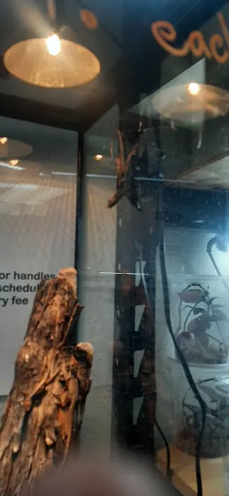 REPTILE FACTORY Picture 2