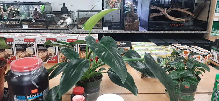 REPTILE FACTORY Picture 5