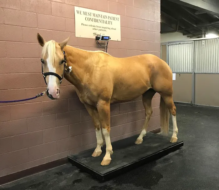 Chaparral Veterinary Medical Center Picture 4