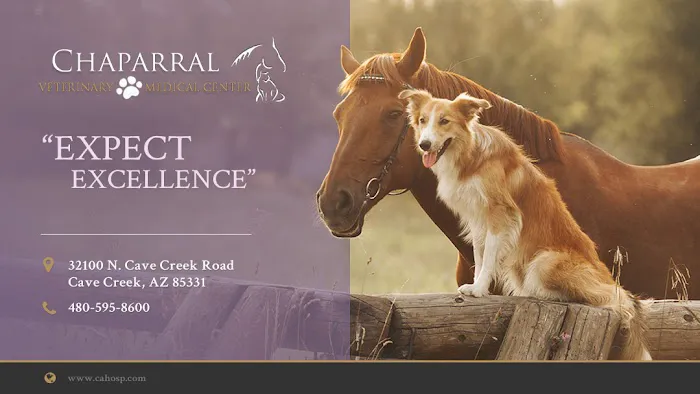 Chaparral Veterinary Medical Center Picture 9