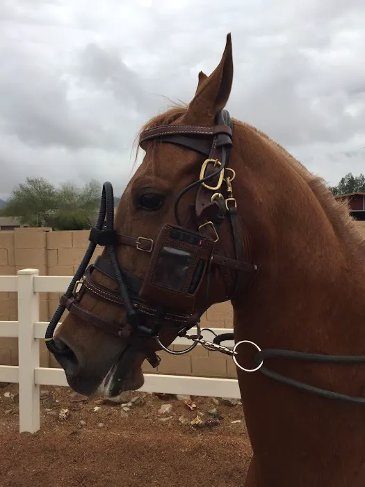 Chaparral Veterinary Medical Center Picture 10