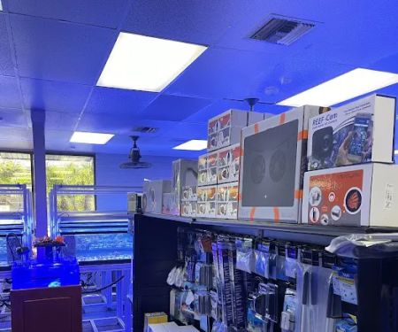 Law Office Aquariums