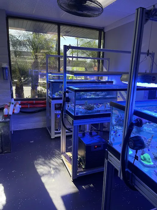 Law Office Aquariums Picture 6