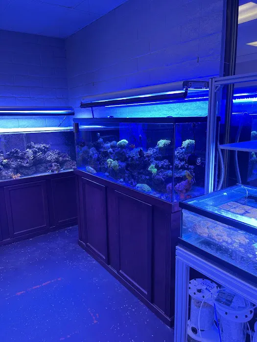 Law Office Aquariums Picture 5