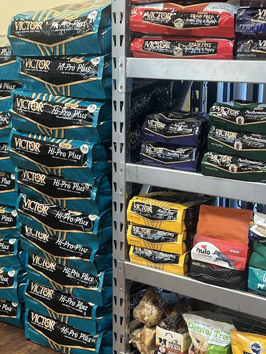 Bullyz Pet Supply Picture 3