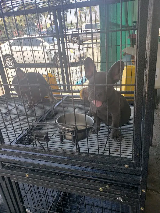 Weros Pet Shop Picture 1
