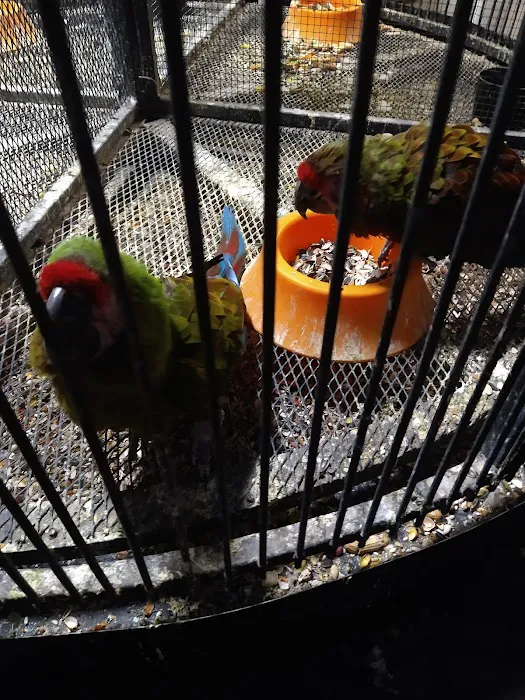 Weros Pet Shop Picture 4