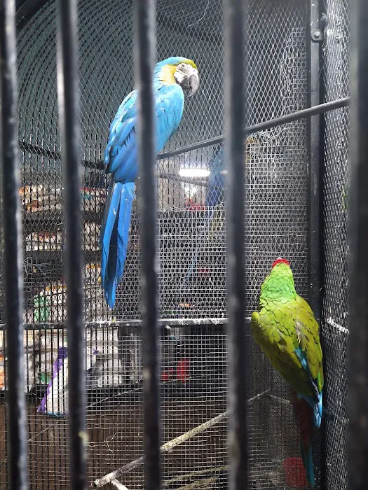 Weros Pet Shop Picture 3