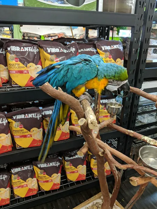 Weros Pet Shop Picture 7