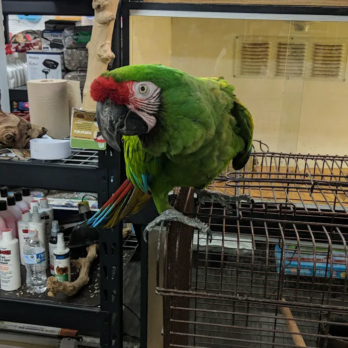 Weros Pet Shop Picture 9