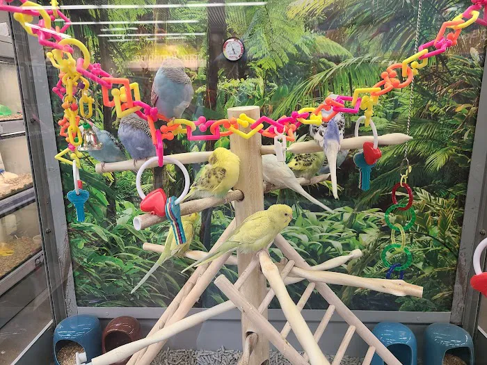 Petco Picture 5