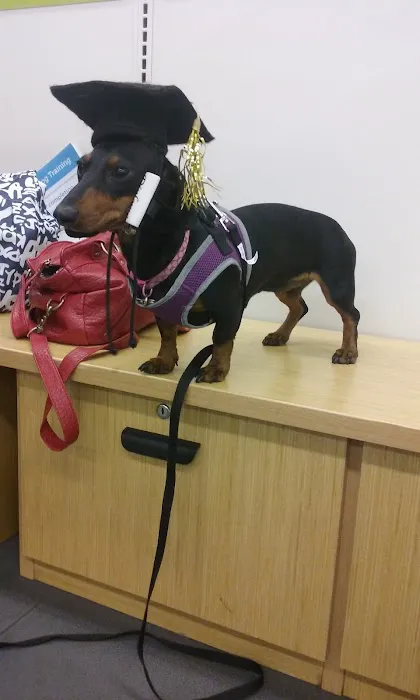 Petco Picture 1