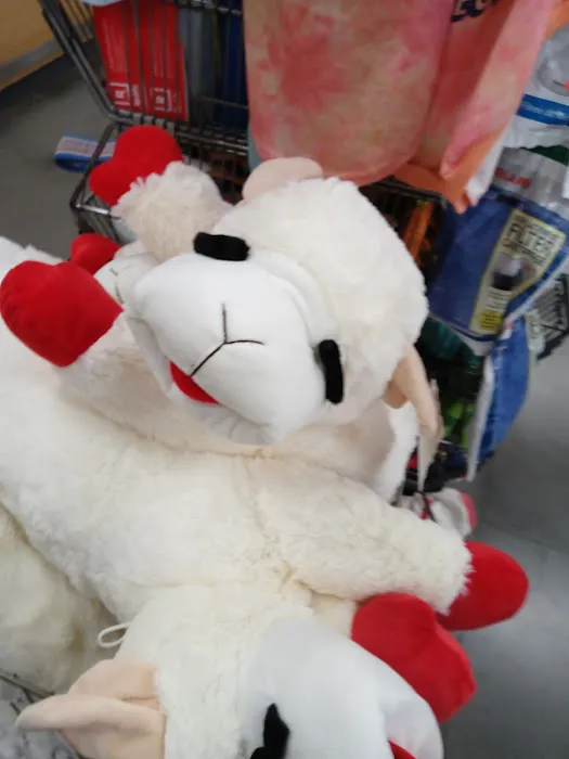 Petco Picture 3