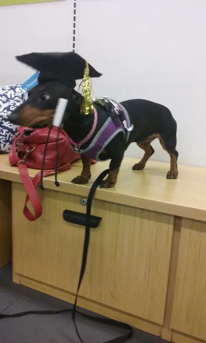 Petco Picture 2