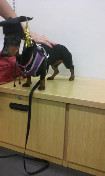 Petco Picture 7