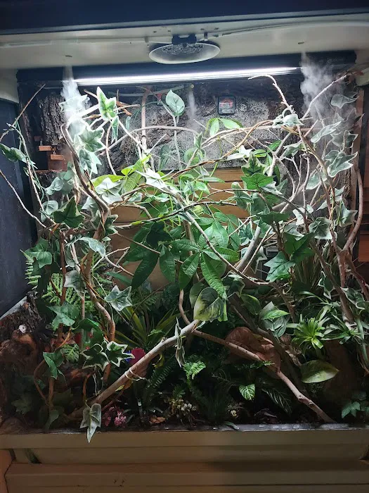 REPTILE FACTORY Picture 1