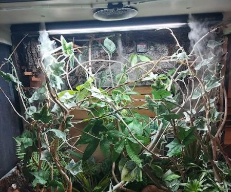 REPTILE FACTORY