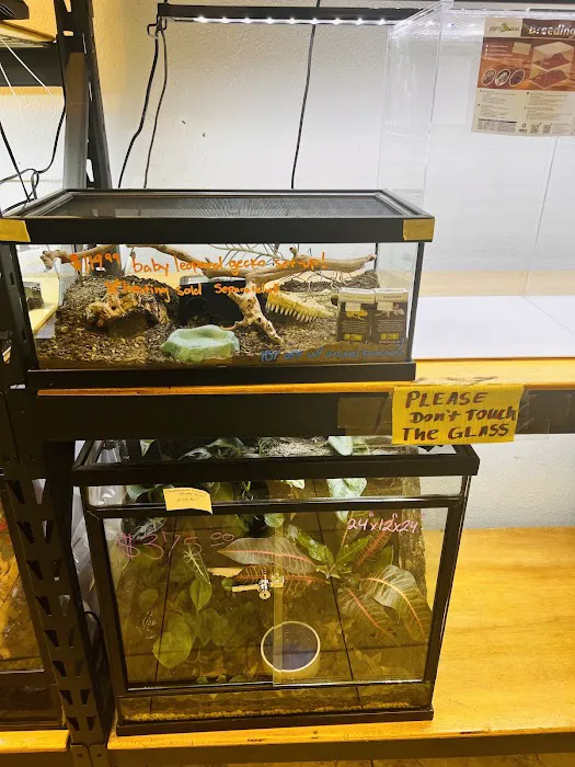 REPTILE FACTORY Picture 3