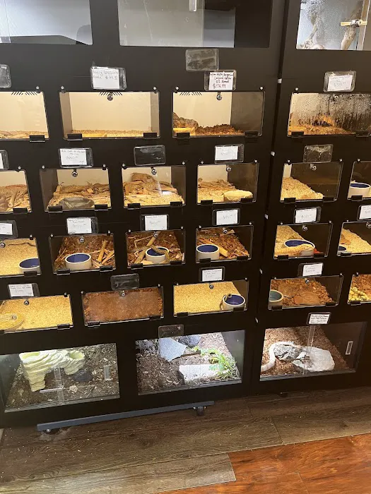 REPTILE FACTORY Picture 4