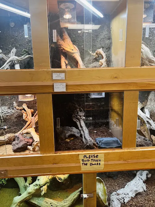 REPTILE FACTORY Picture 6
