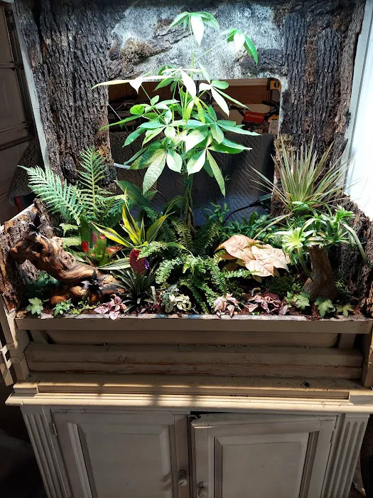 REPTILE FACTORY Picture 10