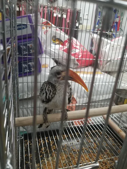 High Desert Pet Shop Picture 2