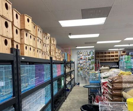 High Desert Pet Shop
