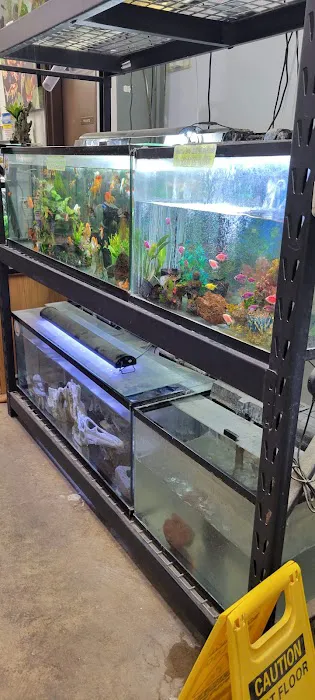 High Desert Pet Shop Picture 8