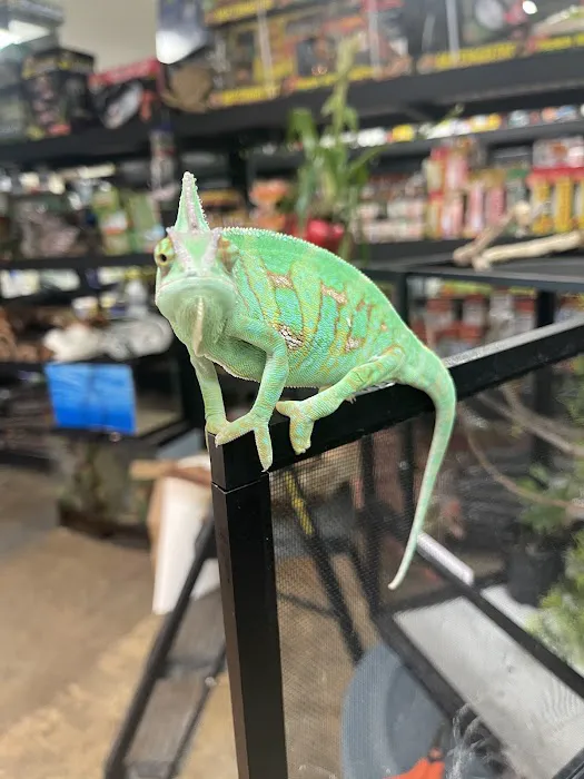 High Desert Pet Shop Picture 7