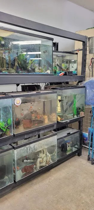 High Desert Pet Shop Picture 9