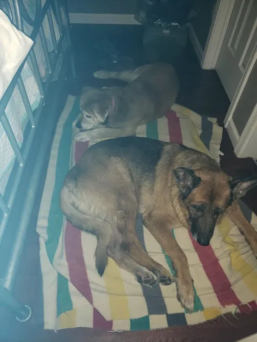 Dynamite Creek Animal Hospital Picture 6