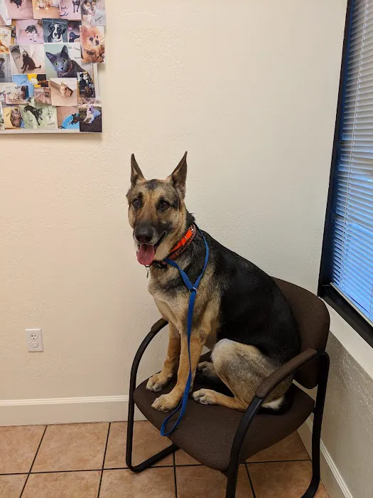 Dynamite Creek Animal Hospital Picture 2