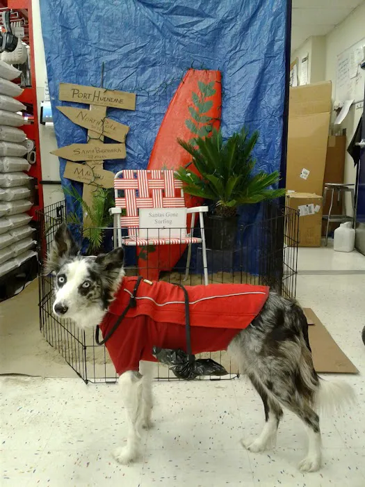 Petco Picture 9