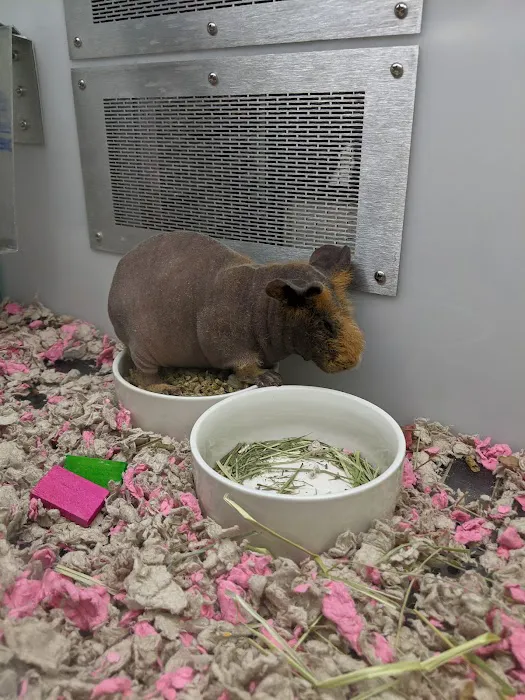 Petco Picture 5