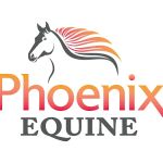 Phoenix Equine Veterinary Services, LLC