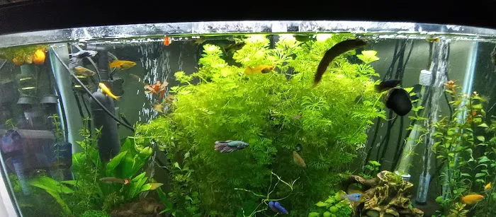 Extreme Marine Picture 2