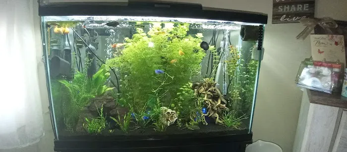 Extreme Marine Picture 1