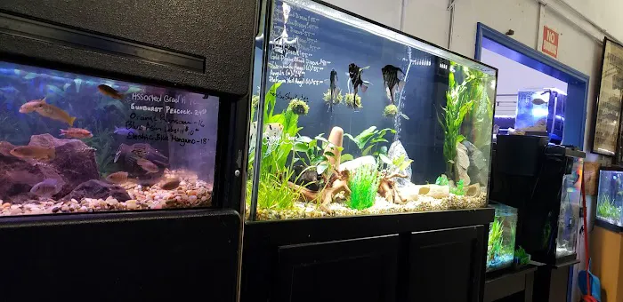 Extreme Marine Picture 6